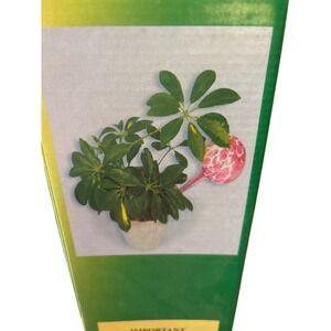 The Plant Bulb Self Watering Glass Globe Device Supplemental Watering Plants